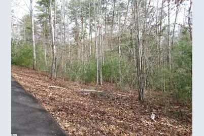 116 Fireside Lane, Pickens, SC 29671 - Photo 10