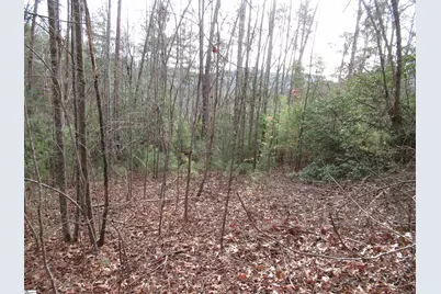 116 Fireside Lane, Pickens, SC 29671 - Photo 8