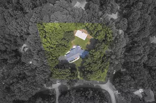 202 Holly Dr, Easley, SC 29640 - Photo 50