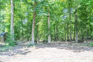 48 Tierra Dr, Waterloo, SC 29384 - Photo 34