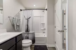 325 Cinerea Wy, Greer, SC 29651 - Photo 16