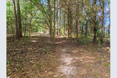 371 Davis Road, Pelzer, SC 29669 - Photo 42