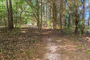371 Davis Rd, Pelzer, SC 29669 - Photo 42