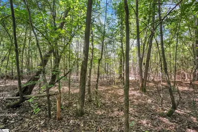 0 Linder Road, Gaffney, SC 29341 - Photo 10