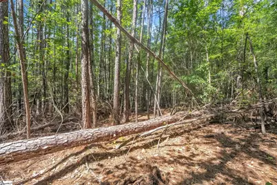 0 Linder Road, Gaffney, SC 29341 - Photo 4