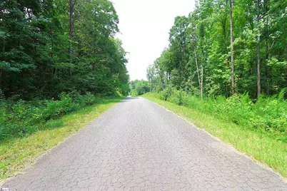 Tbd Byars Farm Road, Gaffney, SC 29341 - Photo 4