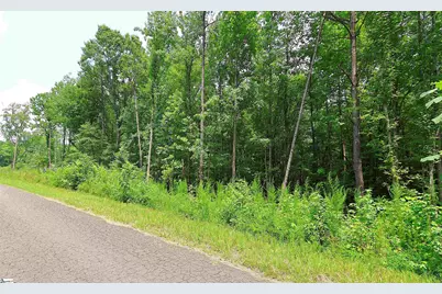 Tbd Byars Farm Road, Gaffney, SC 29341 - Photo 2