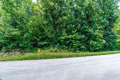 000 Trammell Road #Lot 3, Travelers Rest, SC 29690 - Photo 4
