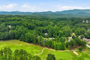 9 Silkvine Ct, Travelers Rest, SC 29690 - Photo 46