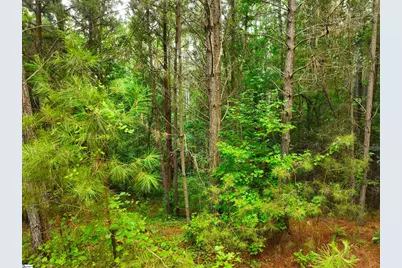 162 Sarah Simpson Road, Iva, SC 29655 - Photo 14