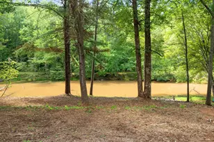 320 Bates View Dr, Travelers Rest, SC 29690 - Photo 42