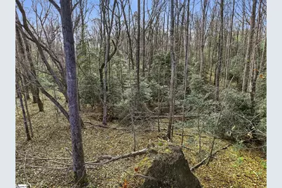 1111 Fork Shoals Road, Greenville, SC 29605 - Photo 12