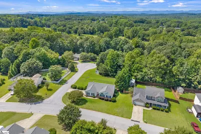 2 Avebury Court, Travelers Rest, SC 29690 - Photo 32