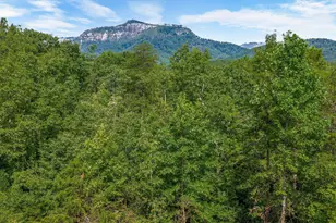 4251 Hwy 11, Pickens, SC 29671 - Photo 4