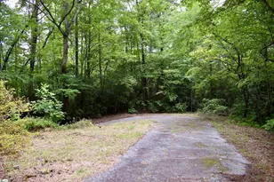 173 Mountain Haven Ln, Zirconia, NC 28790 - Photo 30