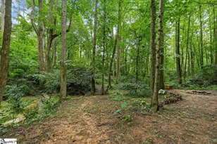 340 Camperdown Ct, Easley, SC 29642 - Photo 48