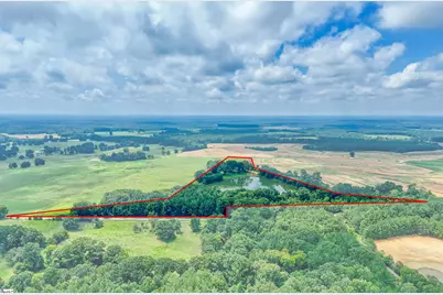 11015 Bush River Road, Kinards, SC 29355 - Photo 40