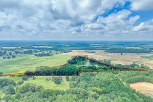 11015 Bush River Rd, Kinards, SC 29355 - Photo 40