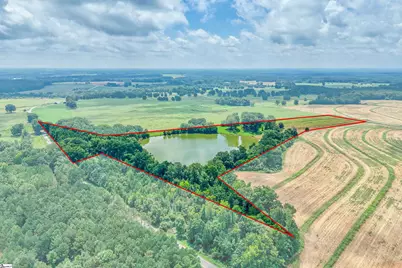 11015 Bush River Road, Kinards, SC 29355 - Photo 42
