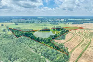 11015 Bush River Rd, Kinards, SC 29355 - Photo 42