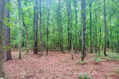 0 Harris Springs Road, Cross Hill, SC 29332 - Photo 6