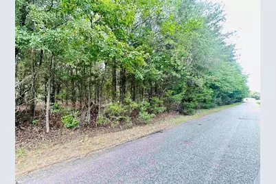 [Address not provided], Laurens, SC 29360 - Photo 8