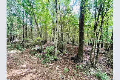 [Address not provided], Laurens, SC 29360 - Photo 6