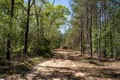 00 Loftis Road, Abbeville, SC 29603 - Photo 10