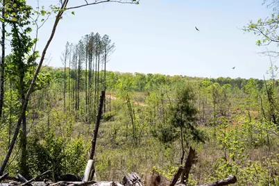 00 Loftis Road, Abbeville, SC 29603 - Photo 8