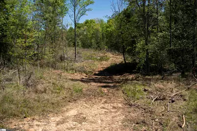 00 Loftis Road, Abbeville, SC 29603 - Photo 24