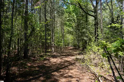 00 Loftis Road, Abbeville, SC 29603 - Photo 12