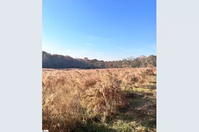 00 Rocky River Ame Church Road, Abbeville, SC 29622 - Photo 14