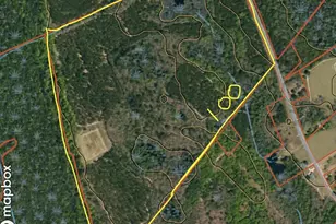 0 Able Rd, Bamberg, SC 29003 - Photo 1