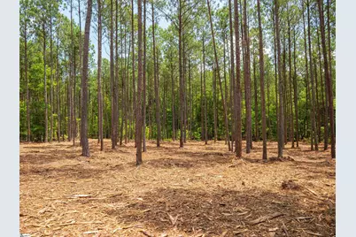 00 Cheek Road #Lot 11, Gray Court, SC 29645 - Photo 16
