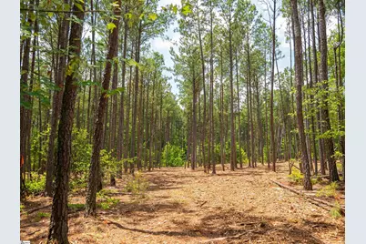 00 Cheek Road #Lot 11, Gray Court, SC 29645 - Photo 14