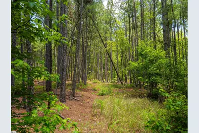 00 Cheek Road #Lot 11, Gray Court, SC 29645 - Photo 22