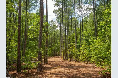 00 Cheek Road #Lot 11, Gray Court, SC 29645 - Photo 12