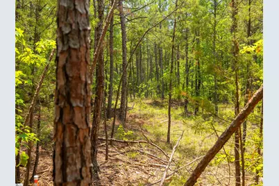 00 Cheek Road #Lot 11, Gray Court, SC 29645 - Photo 10
