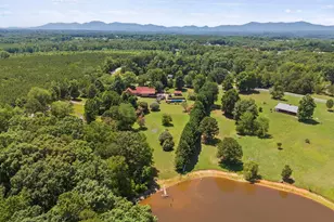 40 Ridings Rd, Campobello, SC 29322 - Photo 50
