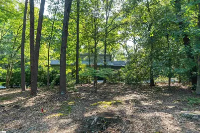 100 Wood Lily Lane, Spartanburg, SC 29307 - Photo 38