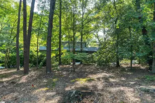 100 Wood Lily Ln, Spartanburg, SC 29307 - Photo 38