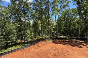 529 Bellhaven Ct, Salem, SC 29676 - Photo 6
