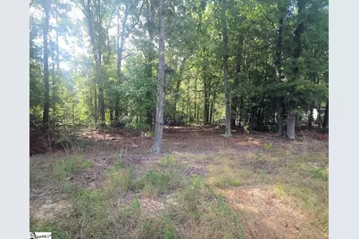220 Cook Street, Gray Court, SC 29645 - Photo 4