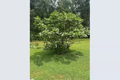 212 Robinwood Circle, Starr, SC 29684 - Photo 14