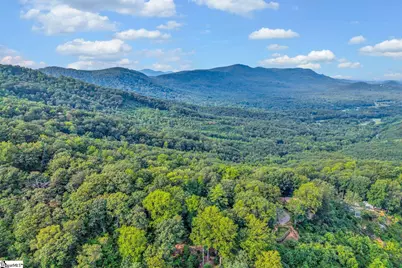 00 Hogback Mountain Road, Tryon, NC 28782 - Photo 6