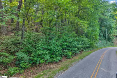 00 Hogback Mountain Road, Tryon, NC 28782 - Photo 4