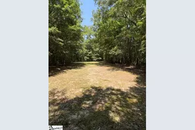 167 Willis Drive, Fountain Inn, SC 29644 - Photo 46