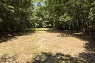 167 Willis Dr, Fountain Inn, SC 29644 - Photo 46