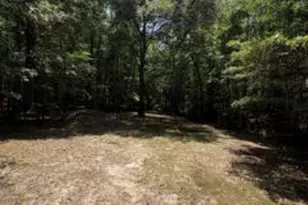 167 Willis Dr, Fountain Inn, SC 29644 - Photo 44