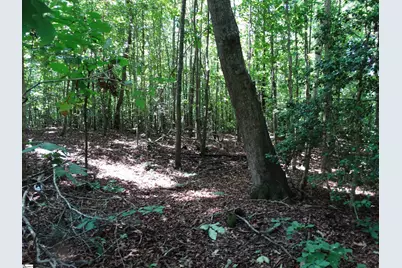 76 Tanyard Road, Greenville, SC 29609 - Photo 8